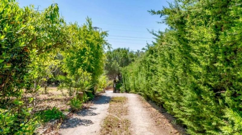 Málaga - Estepona - 3000m2