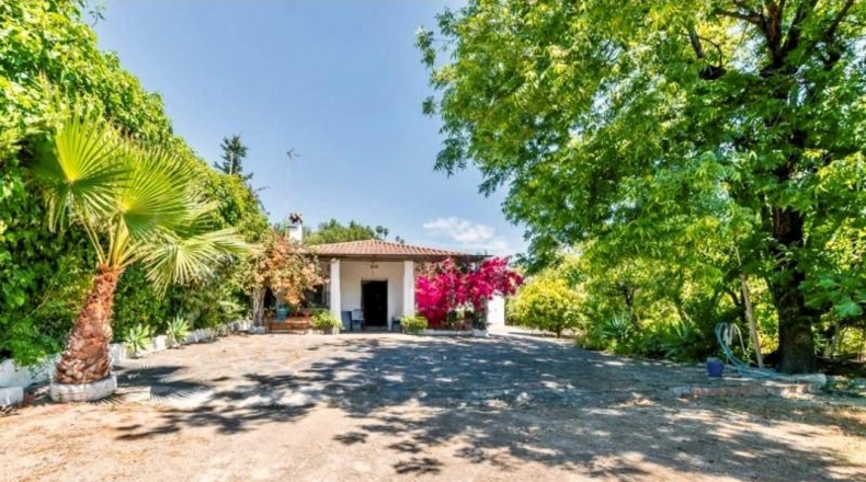 Málaga - Estepona - 3000m2