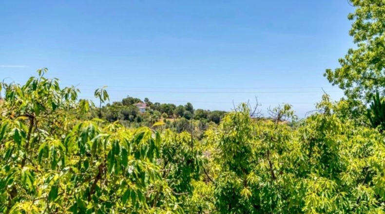 Málaga - Estepona - 3000m2