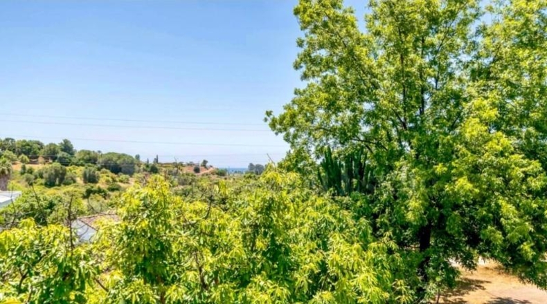 Málaga - Estepona - 3000m2