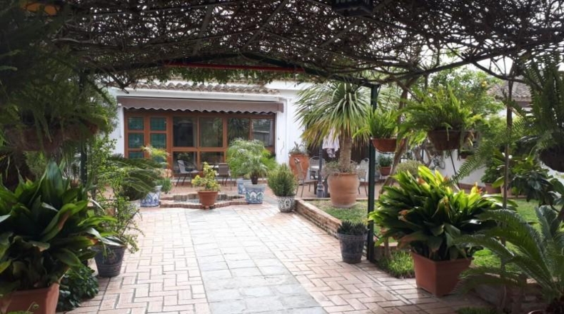 Cádiz - Chiclana de la Frontera - 800m2