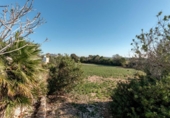 Casa de camp amb terreny en venda a la España, Vilafranca del Penedès, ref.: TR154501 foto