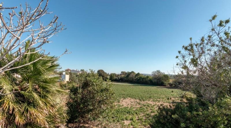 Tarragona - Banyeres del Penedès - 15287m2