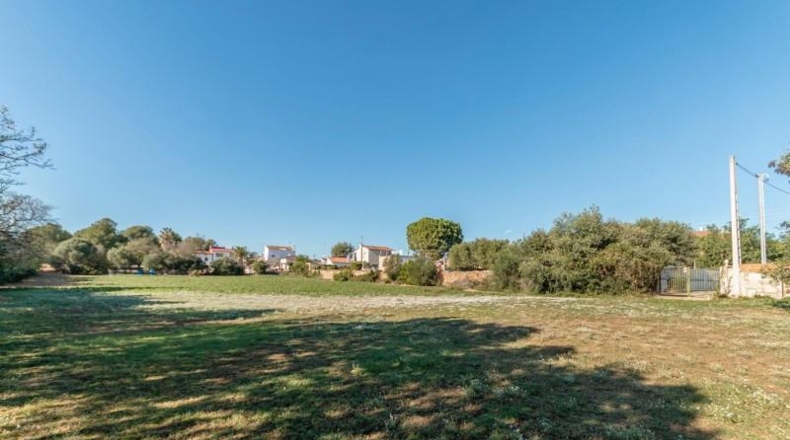 Tarragona - Banyeres del Penedès - 15287m2