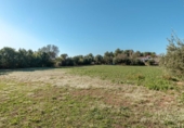 Casa de camp amb terreny en venda a la España, Vilafranca del Penedès, ref.: TR154501 foto