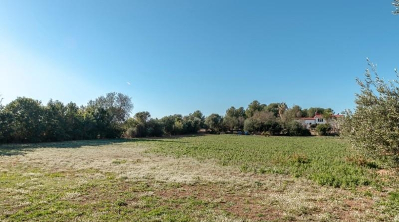 Tarragona - Banyeres del Penedès - 15287m2
