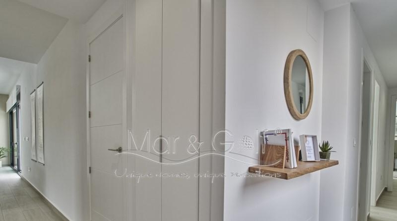 Alicante - Algorfa - 380m2