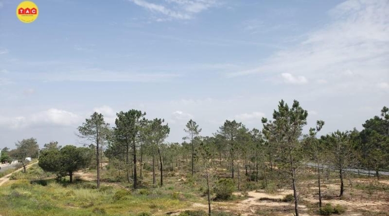 Huelva - Lepe - 744m2