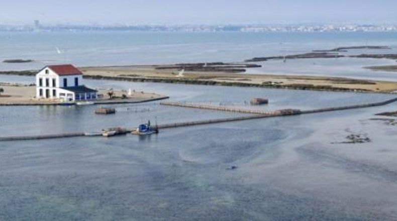 Murcia - San Pedro del Pinatar - 250m2