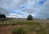 Terreno no urbanizable en venta en la España, El Verger, ref: TR342008 foto
