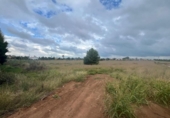 Terreno no urbanizable en venta en la España, El Verger, ref: TR342008 foto