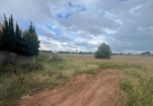 Terreno no urbanizable en venta en la España, El Verger, ref: TR342008 foto