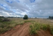 Terreno no urbanizable en venta en la España, El Verger, ref: TR342008 foto