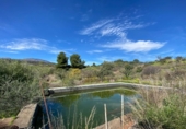 Casa de camp amb terreny en venda a la España, Estepona, ref.: TR156422 foto