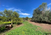 Casa de camp amb terreny en venda a la España, Estepona, ref.: TR156422 foto