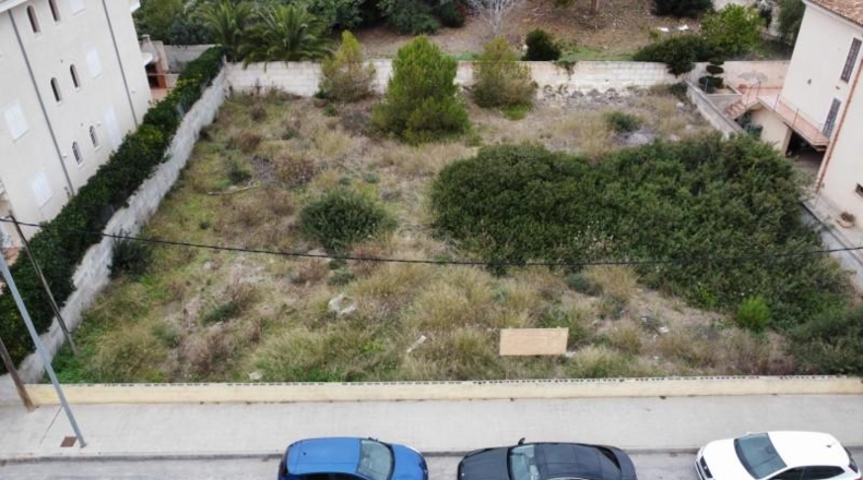 Balearic Islands - Muro - 810m2