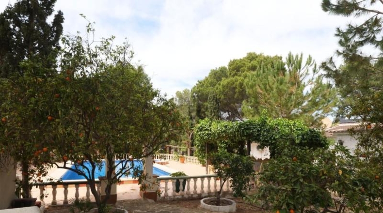 Alicante - Torrevieja - 1405m2