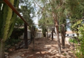 Xalet independent amb terreny en venda a la España, Torrevella, ref.: TR249149 foto