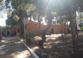 Casa de camp amb terreny en venda a la España, Agost, ref.: TR139874 foto