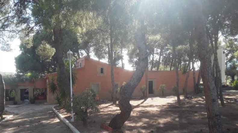 Alicante - Agost - 90000m2