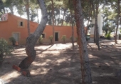 Casa de camp amb terreny en venda a la España, Agost, ref.: TR139874 foto