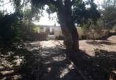 Casa de camp amb terreny en venda a la España, Agost, ref.: TR139874 foto
