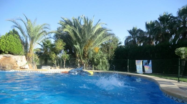 Alicante - Agost - 90000m2