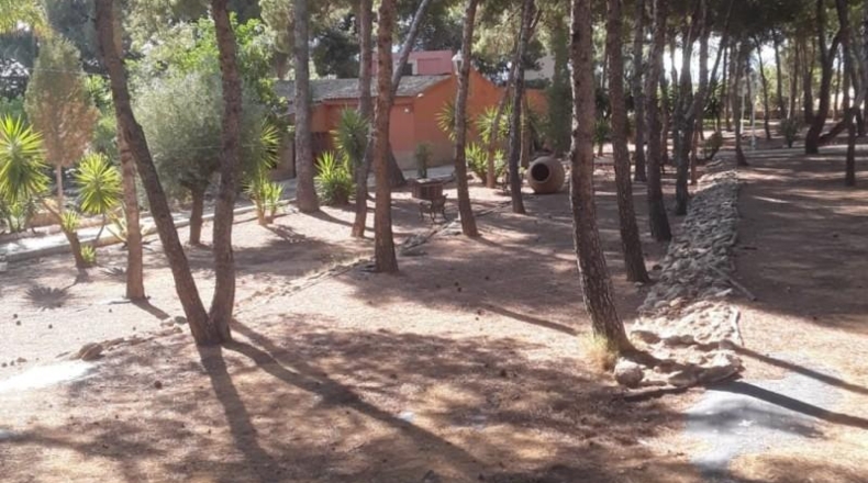 Alicante - Agost - 90000m2