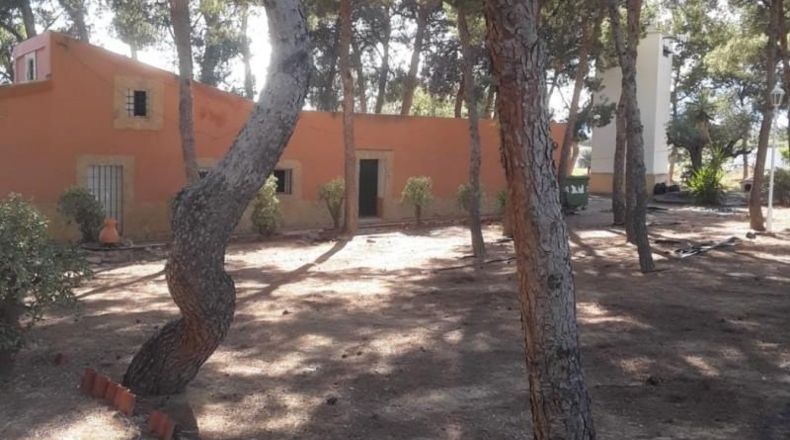 Alicante - Agost - 90000m2