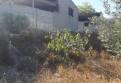 Casa de camp amb terreny en venda a la España, Agost, ref.: TR141730 foto