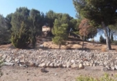 Casa de camp amb terreny en venda a la España, Agost, ref.: TR141730 foto