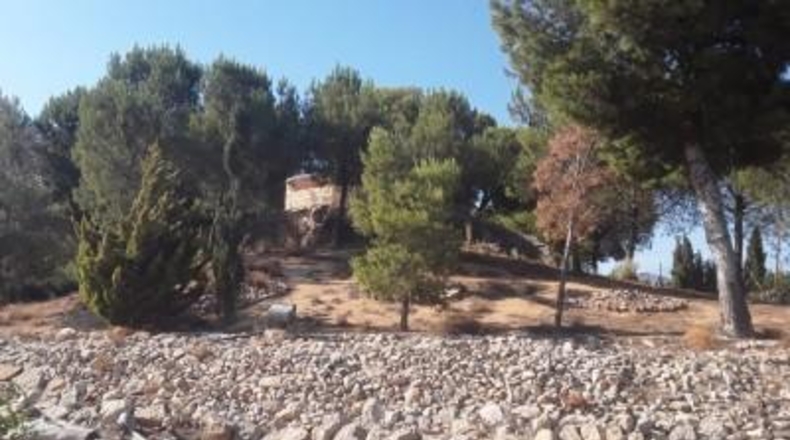 Alicante - Agost - 90000m2