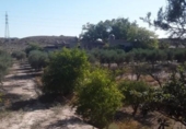 Casa de camp amb terreny en venda a la España, Agost, ref.: TR141730 foto