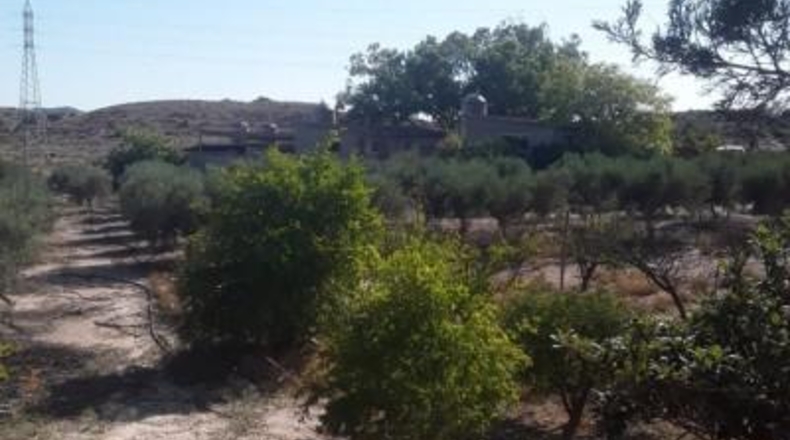 Alicante - Agost - 90000m2