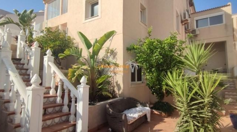 Alicante - San Miguel de Salinas - 500m2