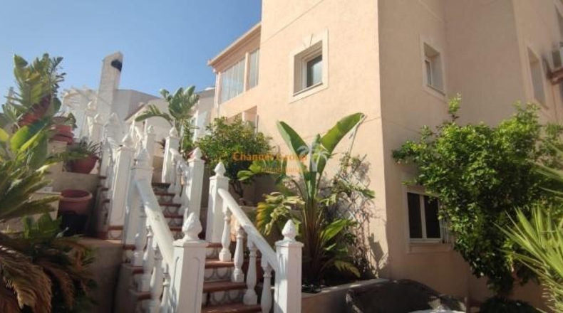 Alicante - San Miguel de Salinas - 500m2