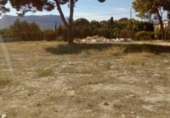 Non-developable land for sale on España, Calpe, ref: TR113653 photo