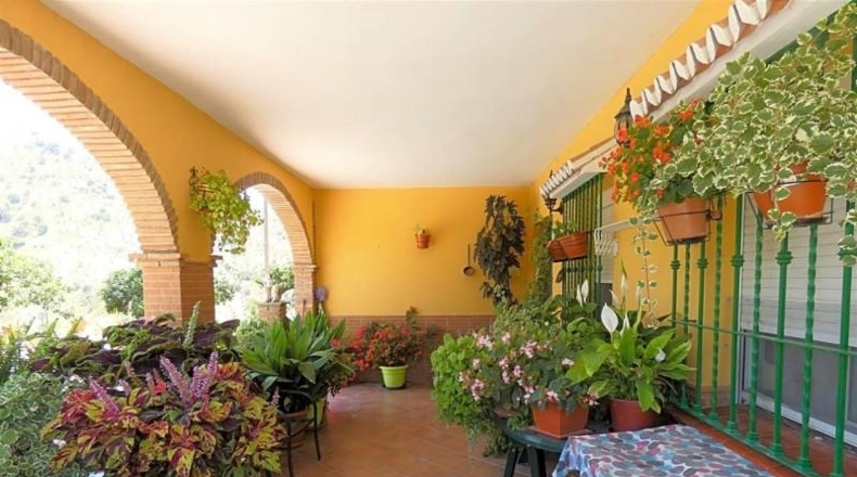 Málaga - Casabermeja - 12000m2