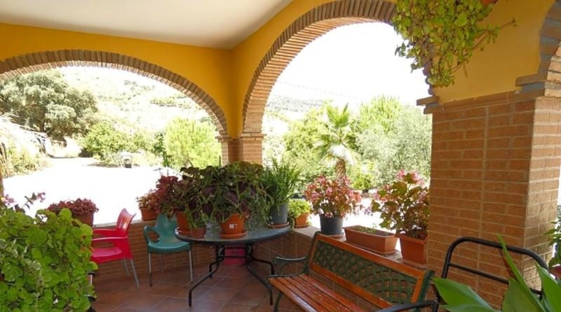Málaga - Casabermeja - 12000m2