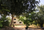 Xalet independent amb terreny en venda a la España, Polop, ref.: TR133377 foto