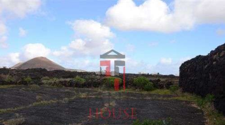 Las Palmas - Tahíche - 56000m2