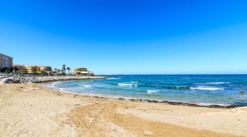 Alicante - Torrevieja - 430m2