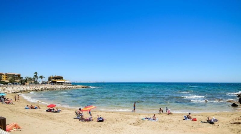 Alicante - Torrevieja - 430m2