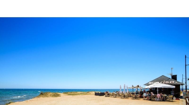 Alicante - Torrevieja - 430m2