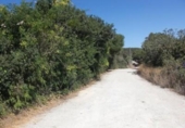 Terreny no urbanitzable en venda a la España, Vejer de la Frontera, ref.: TR121623 foto