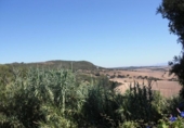 Terreny no urbanitzable en venda a la España, Vejer de la Frontera, ref.: TR121623 foto