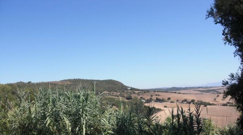 Cádiz - Vejer de la Frontera - 12489m2