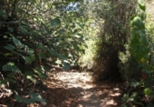 Terreny no urbanitzable en venda a la España, Vejer de la Frontera, ref.: TR121623 foto