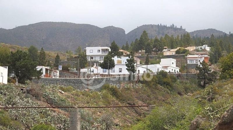 Santa Cruz de Tenerife - Adeje - 1159m2