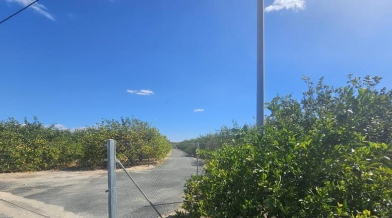 Alicante - Los Montesinos - 10000m2